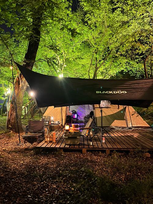 夏季和小伙伴露营需要准备什么?有什么露营好物可以推荐?