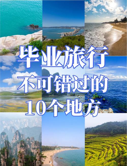 电影毕业旅行笑翻天演员表