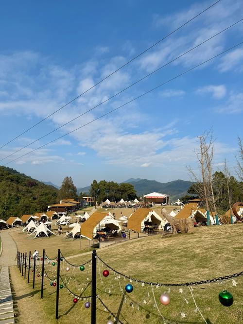 旅行社的自由行是什么意思?