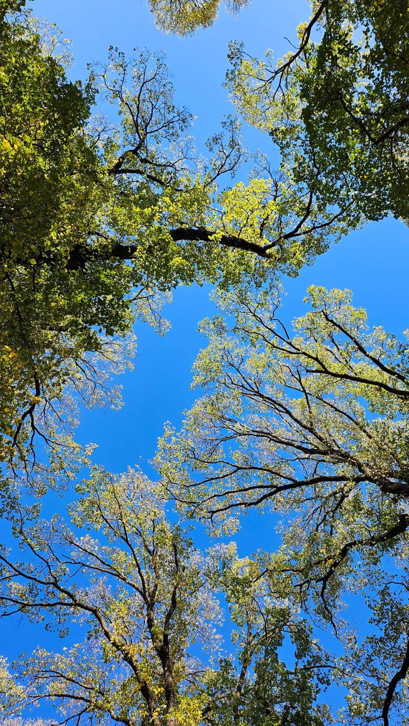 环日本岛摩托旅行去!——准备篇 环日本岛摩托旅行去!——准备篇