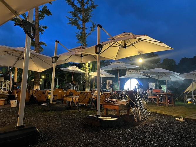 旅行社的自由行是什么意思?