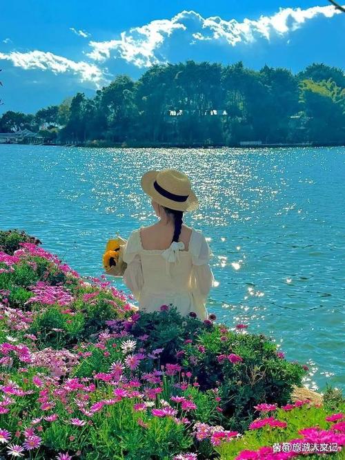 众图网素材分享|那些视觉惊艳,配色高级的秋游海报,建议收藏